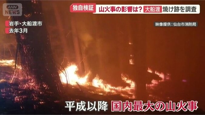 去年2月にも…