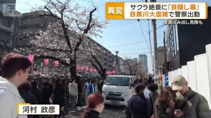 かき分けるように進む車