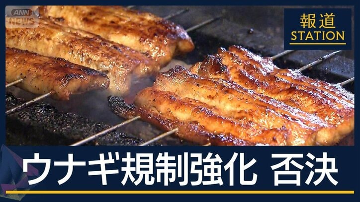 ウナギ規制強化『否決』日本の外交官“ギリギリの勝負”の舞台裏