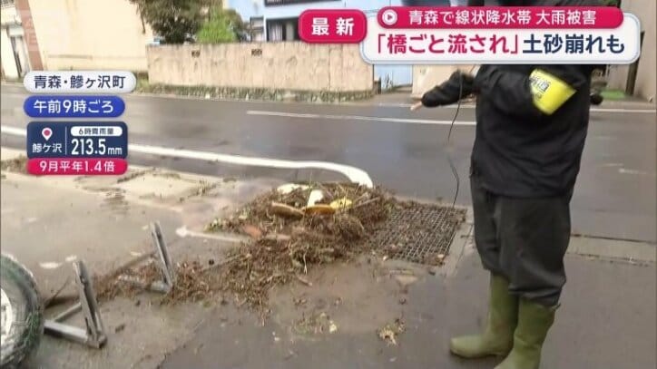 木や植木が散乱