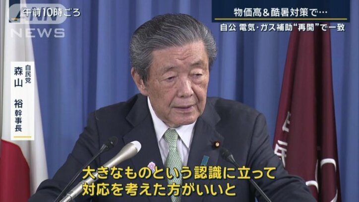 自民党 森山裕幹事長