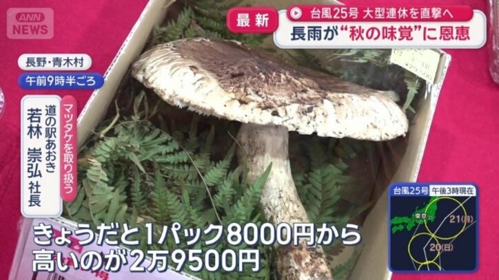 高いものでは2万9500円だが…