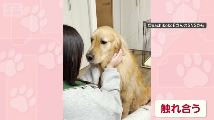 飼い主と触れ合う