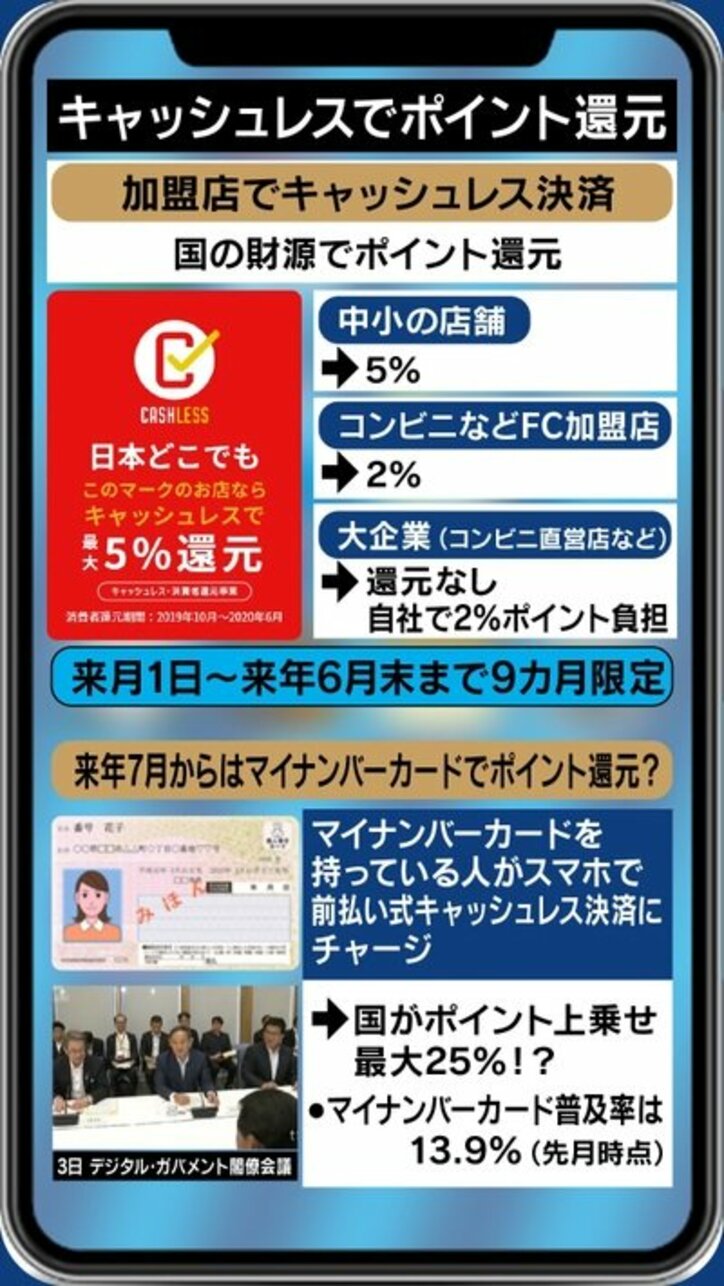 「Macでは使えず、IEでしか登録できないプラットフォームを利用、意味がわからない」…消費増税の負担軽減策に残る、これだけの課題