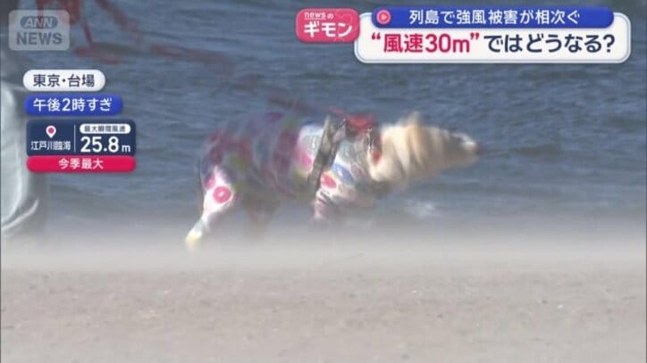 東京・台場周辺