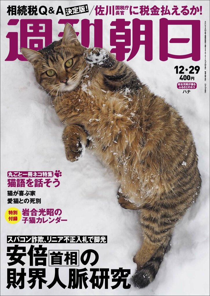 ことごとくネコ! 史上初『週刊朝日』が丸ごと一冊 ネコ特集