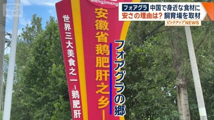 中国最大級のフォアグラ生産地