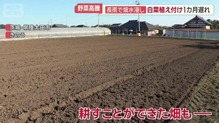 耕すことができたという畑も…