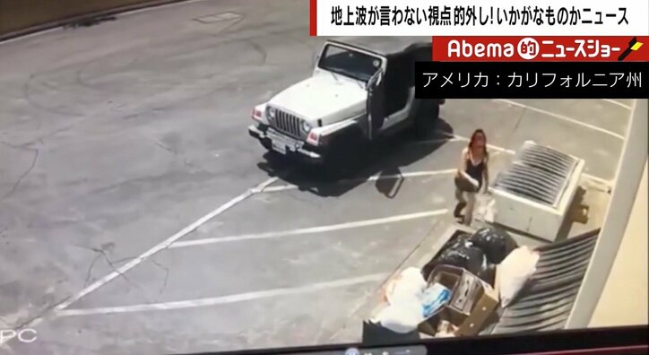 米の女性が「生きた子犬」をゴミ袋で投棄　専門家「自治体によっては日本でも死んだ動物はモノ扱い。遺棄しても処罰されない」