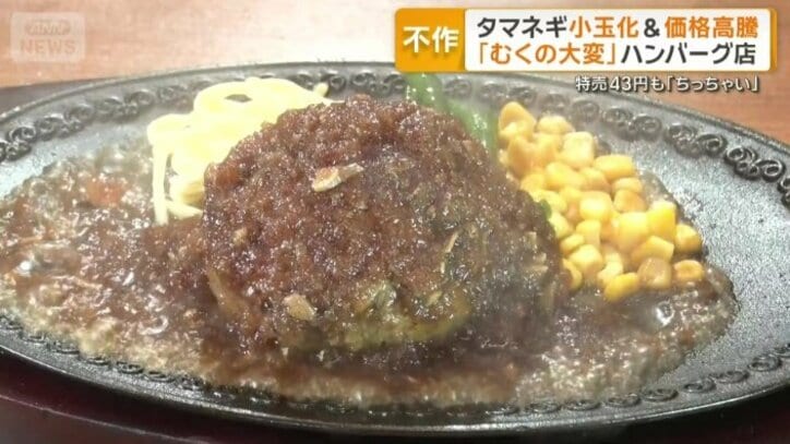 北海道産タマネギなどを使ったハンバーグステーキ