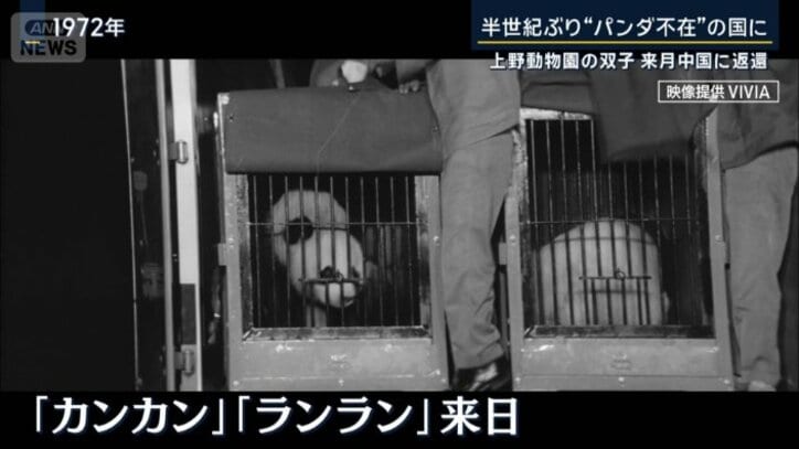 1972年のニュース映像