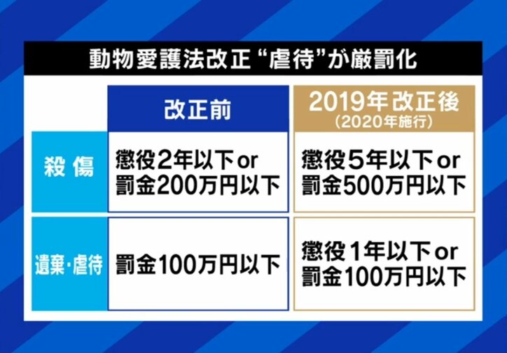 動物愛護法の改正