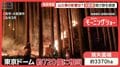 「良い木は燃えた」木材できず価格半減　岩手・山火事　鎮火後に潜むリスクを独自検証