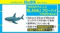 SNSを席巻する“IKEAのサメ”、人気の秘訣は「無関心な顔と目」？