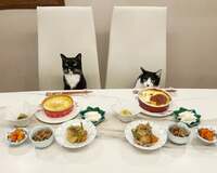 藤あや子『昨日の晩ごはん』