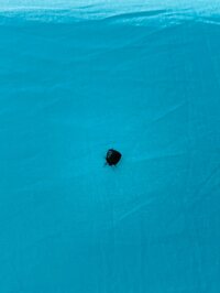 小泉貴之『健康にいちばん気を遣った期間』