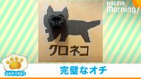 【映像】“顔ハメ”で遊ぶ猫に戦闘モードの黒猫 2匹の戦いの結末に驚きの声