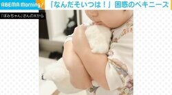 「なんだそいつは！」“ニセモノ”を可愛がる2歳児に困惑する犬