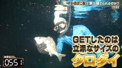 ナスD、素潜りで魚を仕留める身体能力が「人間の域を超えてる」「地球滅亡しても生きてそう」驚きの声