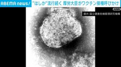 “はしか”流行続く 厚労大臣がワクチン接種呼びかけ