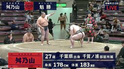 「かわいいアンパンマン」顔の元幕内・舛乃山　三段目からの復活ロード