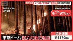 「良い木は燃えた」木材できず価格半減　岩手・山火事　鎮火後に潜むリスクを独自検証