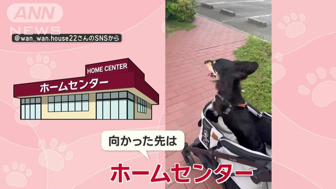 向かった先は…ホームセンター