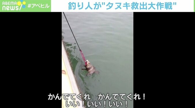 溺れたタヌキを釣り人が発見「目の前で沈んじゃうんじゃないかって…」決死の救出劇 2枚目