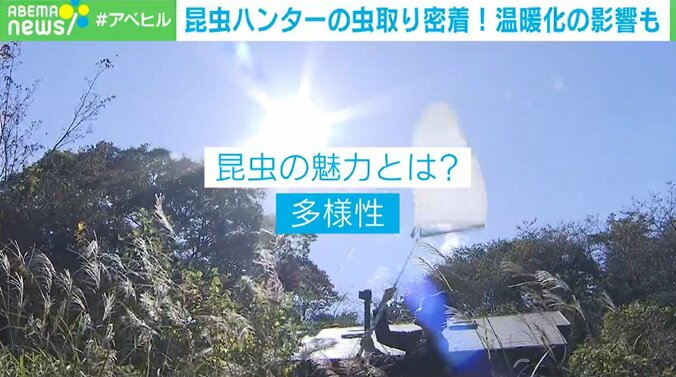 東大院生の昆虫ハンター「家族はむしろ虫嫌い」 子どもの“夢中になる力”を伸ばすには 5枚目