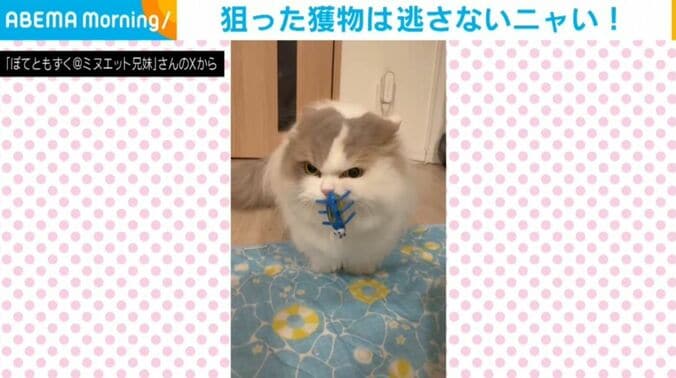 ぽてとくん