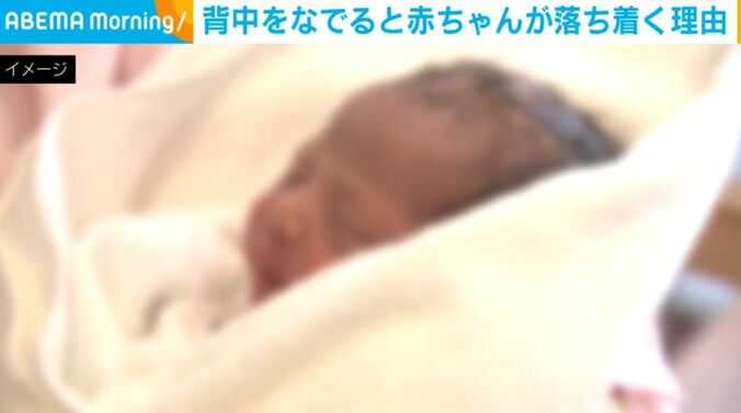 新生児