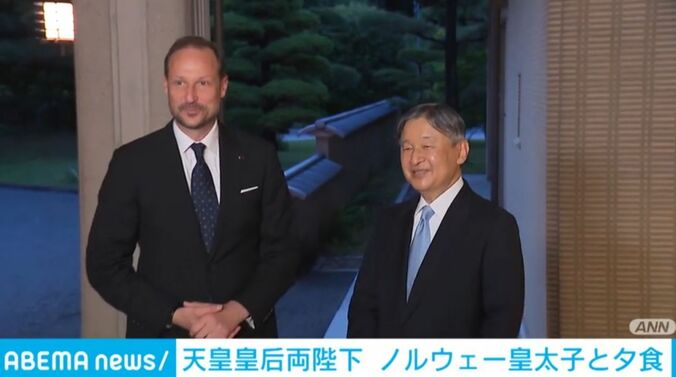 天皇陛下、ホーコン皇太子