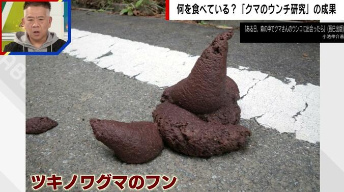 ツキノワグマのフン