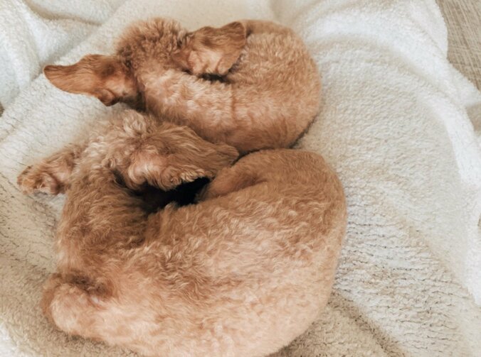 水嶋ヒロ、自分を“大好きでいてくれる存在”に「泣けてくる」 3枚目