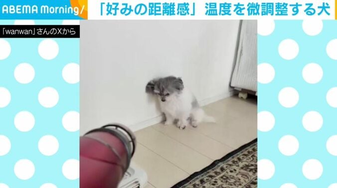 「もじゅ」くん