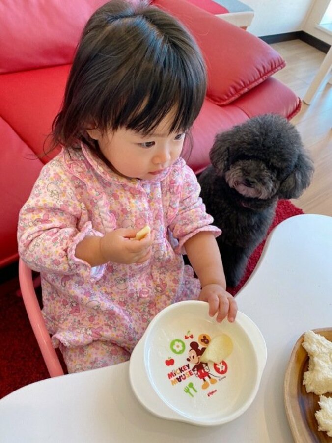 浜田ブリトニー、娘が愛犬に警戒心「強い意志を感じましたwww」 1枚目