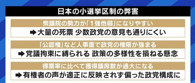 与野党の大物候補の“比例復活”に有権者から不満の声も…「選挙制度改革」から25年以上が経過、再び見直すべき時期との声 10枚目