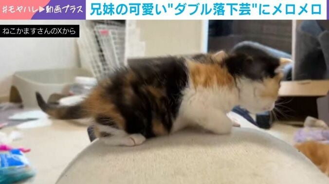 楓橙くんと胡晴ちゃん
