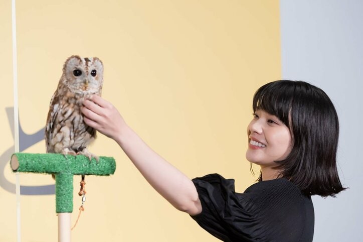 香取慎吾、ペット役のフクロウ・マルちゃんとは不仲だった!?「触っているの見たことない」相次ぐ暴露にタジタジ