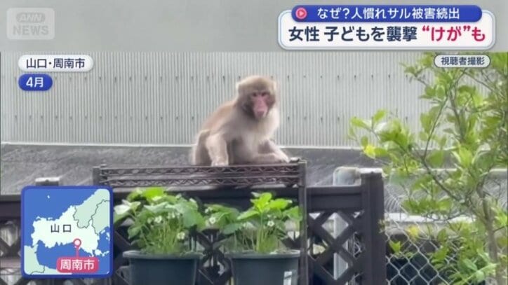 山口県の周南市でも