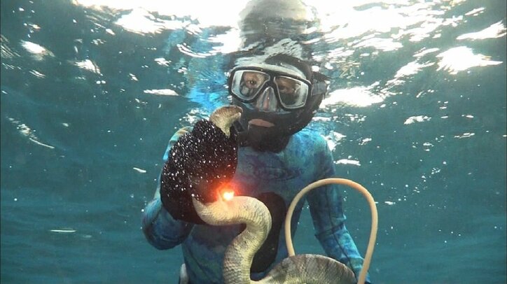 「全部あり」ナスDのすごさ よゐこ・濱口優を裏方で支えてきた男/てれびのスキマ(戸部田 誠)