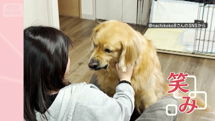 なでるとニヤリ