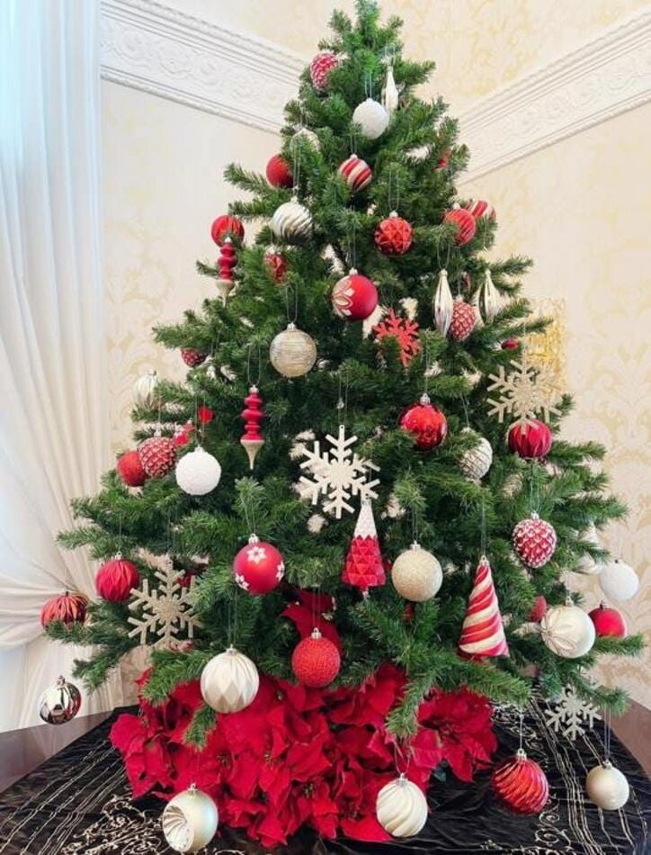  假屋崎省吾『コストコ』品で飾り付けたクリスマスツリー「今までに無いタイプ」 