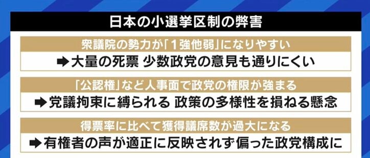 与野党の大物候補の“比例復活”に有権者から不満の声も…「選挙制度改革」から25年以上が経過、再び見直すべき時期との声