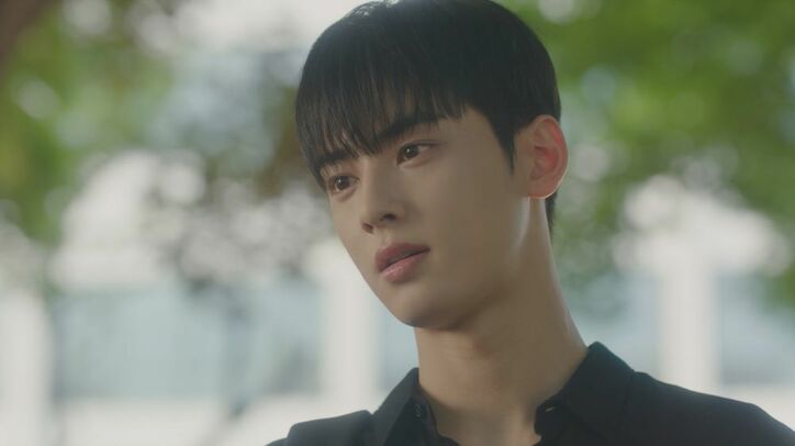 圧倒的イケメン！ASTROチャ・ウヌ主演、美容整形がテーマのラブコメ『私のIDはカンナム美人』