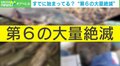 隕石衝突以来… “第6の大量絶滅”による野生動物たちへ迫る危険に専門家「人類がどう行動していくのか問われている」