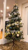  堀ちえみ『niko and …』で購入したクリスマスツリーを公開「やっと今日で完成！」 