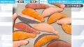 キモっ!(笑)ビチビチ跳ねる、10切れ以上の“荒ぶる鮭のぬいぐるみ”に「怖いけど欲しい」「切り身でも活きが良い」と反響
