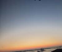 秋野暢子『回遊魚な私。』