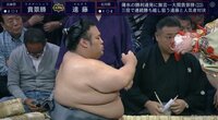「貴景勝はスーパーボール」　元前頭・若ノ城の“独特な例え”に反響